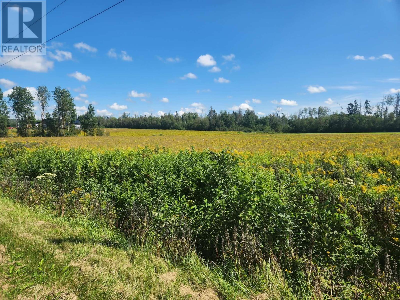 Acreage Lorne Valley Road, Lorne Valley, Prince Edward Island  C0A 1G0 - Photo 3 - 202621518