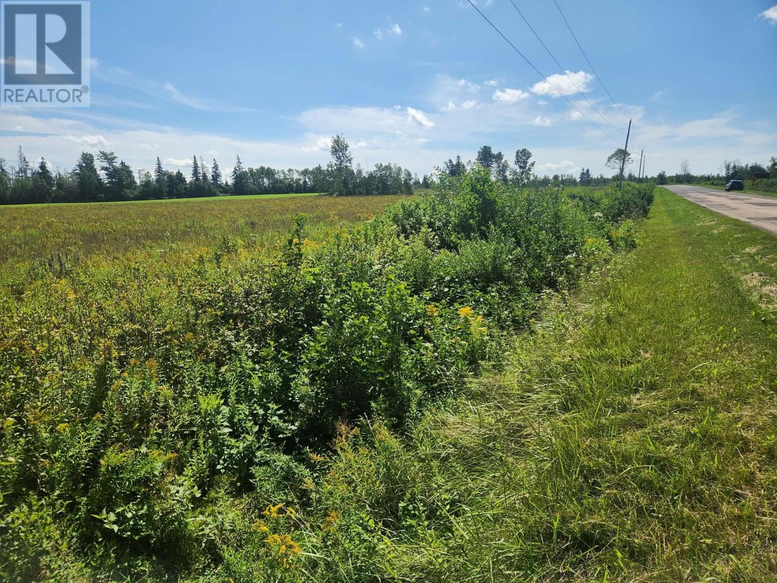 Acreage Lorne Valley Road, Lorne Valley, Prince Edward Island  C0A 1G0 - Photo 5 - 202621518
