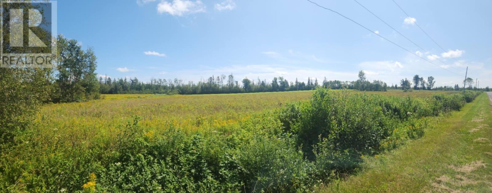 Acreage Lorne Valley Road, Lorne Valley, Prince Edward Island  C0A 1G0 - Photo 8 - 202621518