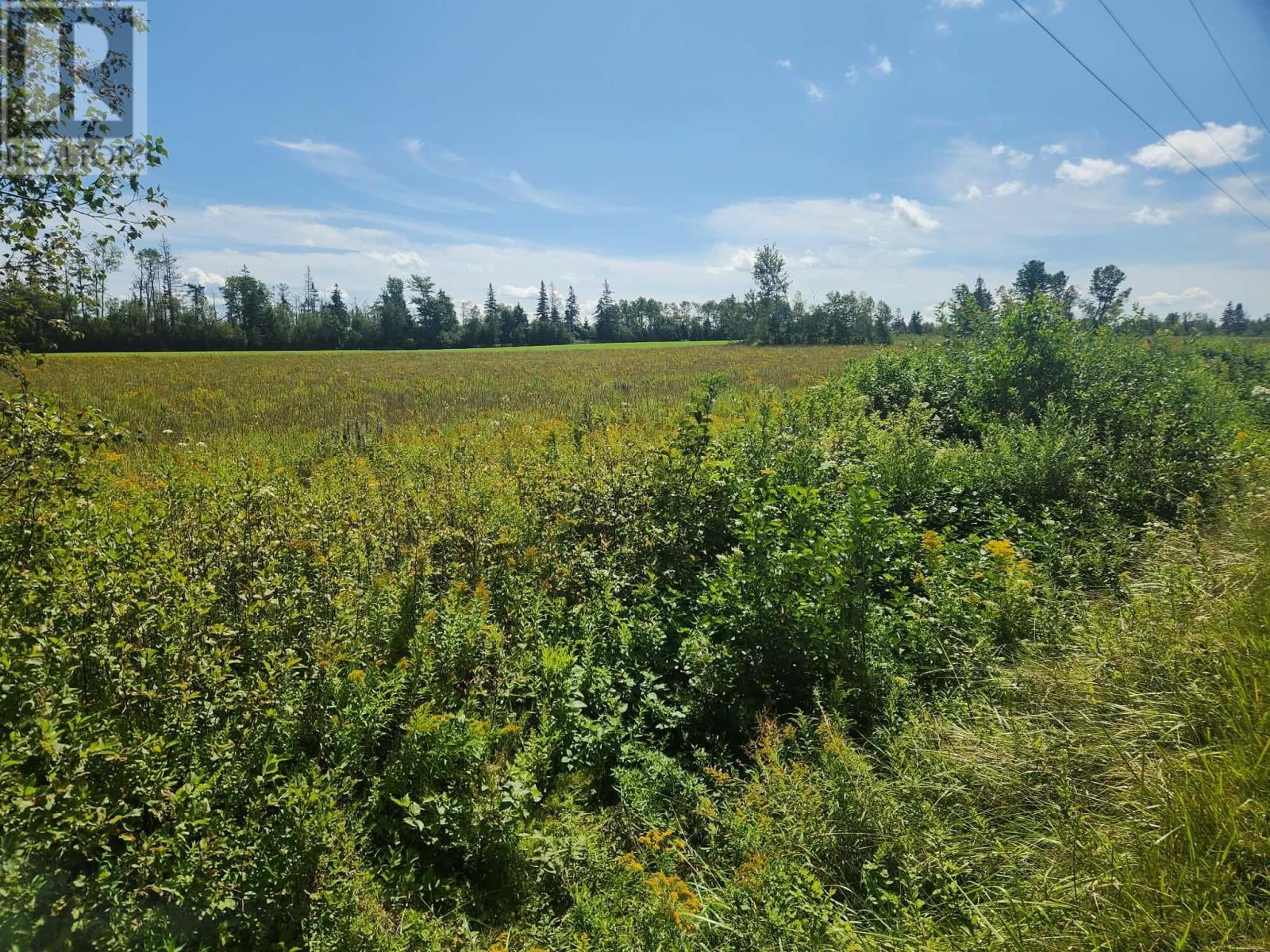 Acreage Lorne Valley Road, Lorne Valley, Prince Edward Island  C0A 1G0 - Photo 9 - 202621518