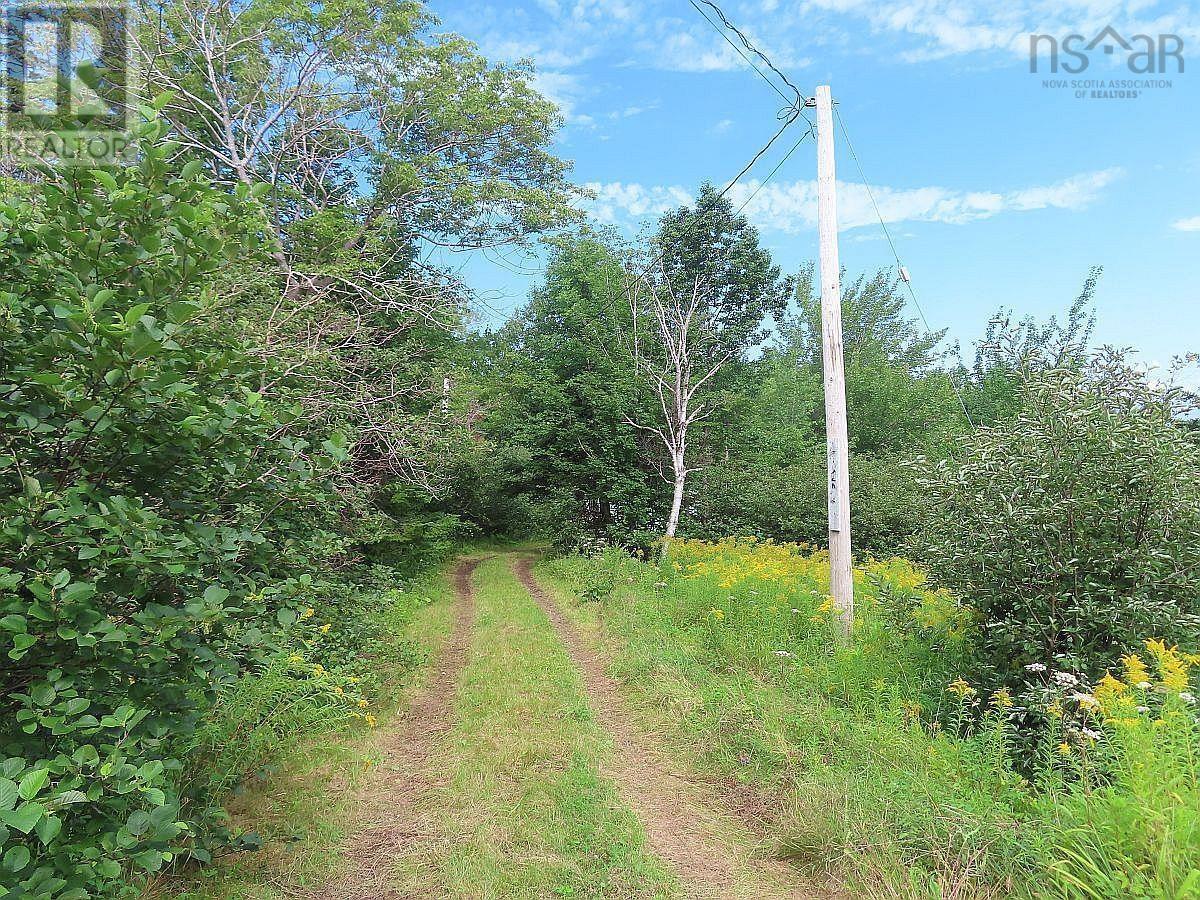 picture 38