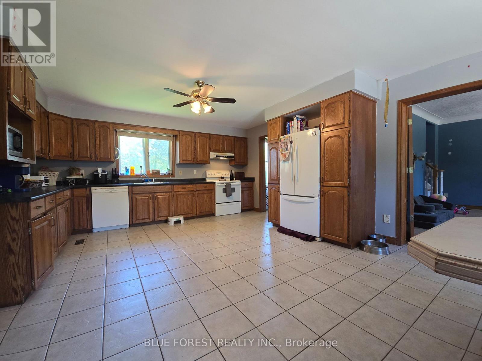 32630 Talbot Line, Dutton/dunwich, Ontario  N0L 1P0 - Photo 17 - X13712728