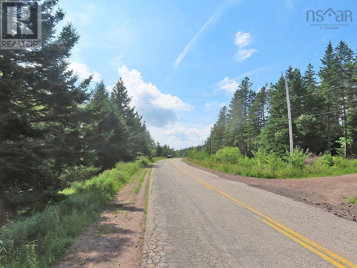46 Acres Washabuck Road, Lower Washabuck, Nova Scotia  B2C 1N4 - Photo 2 - 202609869