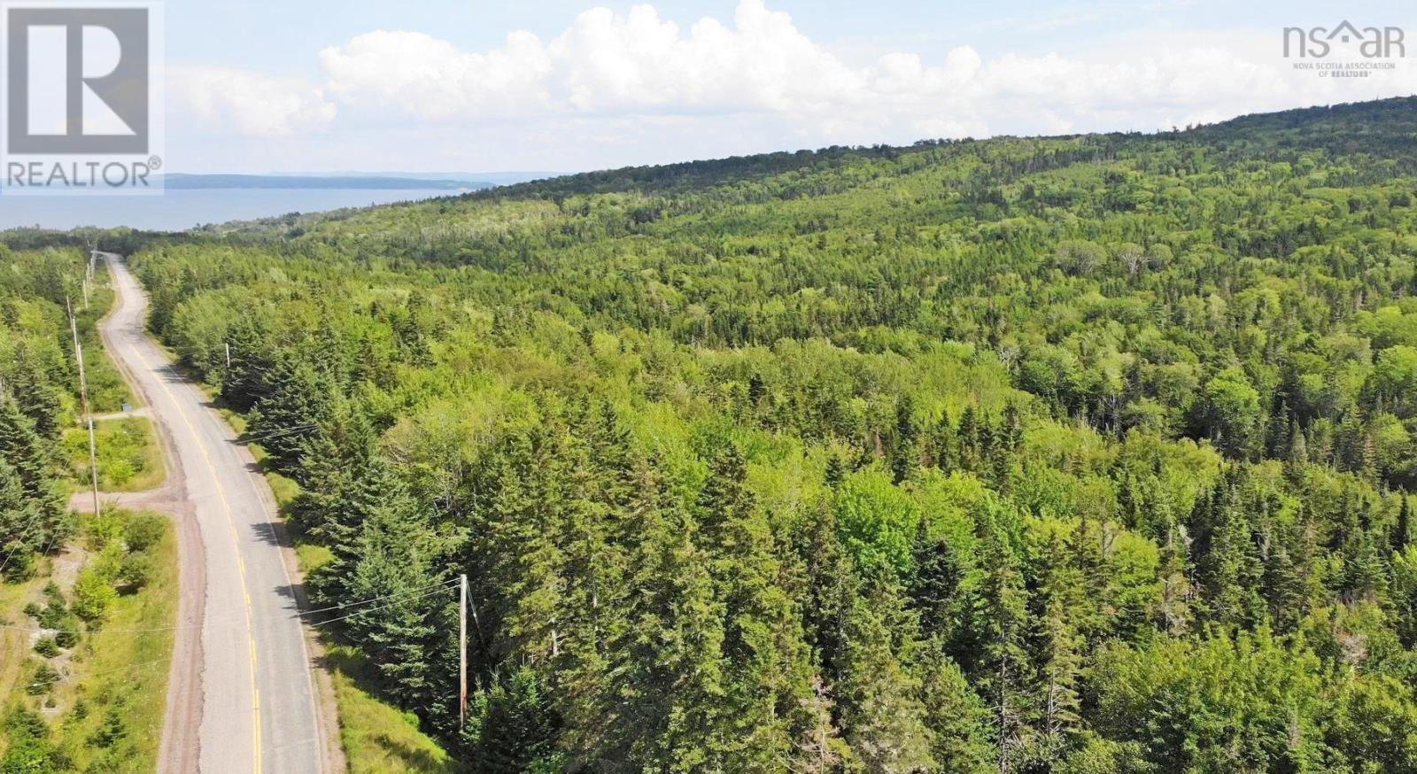 46 Acres Washabuck Road, Lower Washabuck, Nova Scotia  B2C 1N4 - Photo 3 - 202609869