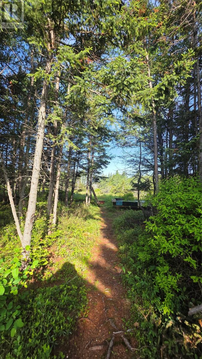 102 Rink Road, Twillingate, Newfoundland & Labrador A0G 4M0 - Photo 10 - 1300224