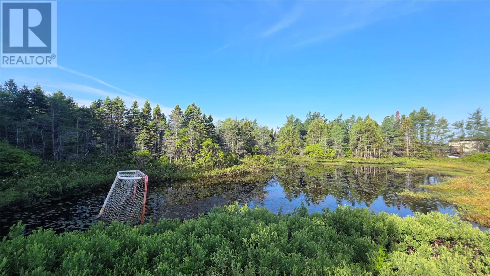 102 Rink Road, Twillingate, Newfoundland & Labrador A0G 4M0 - Photo 12 - 1300224