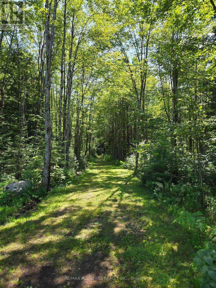 1435 Falkenburg Road, Muskoka Lakes, Ontario  P1L 1X4 - Photo 49 - X13139652