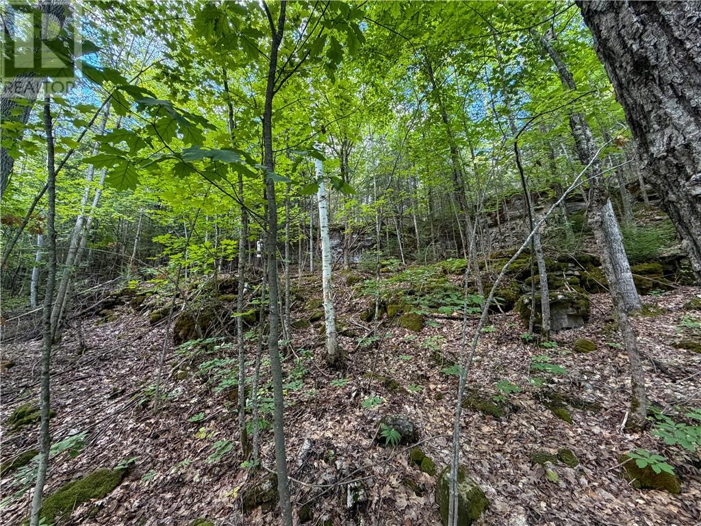 N/a Mcarthur Trail, Gore Bay, Ontario  P0P 1H0 - Photo 10 - 2130009