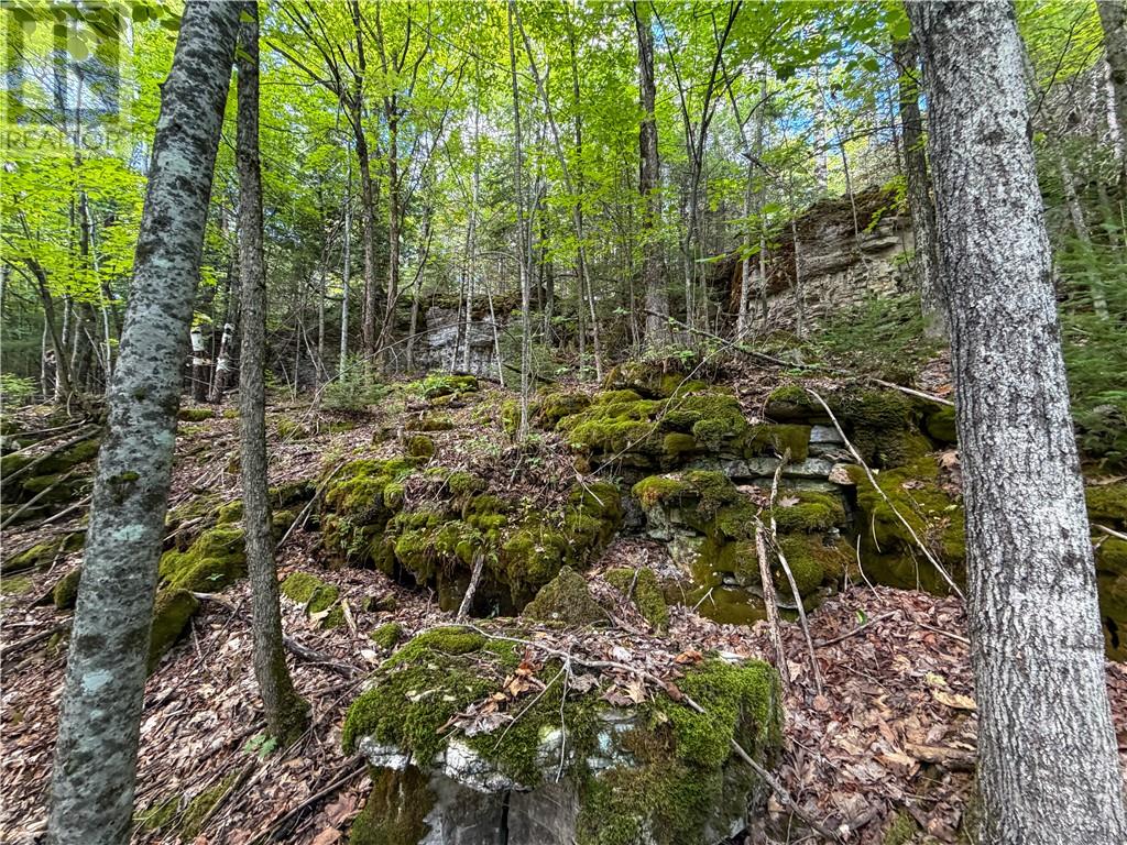 N/a Mcarthur Trail, Gore Bay, Ontario  P0P 1H0 - Photo 11 - 2130009