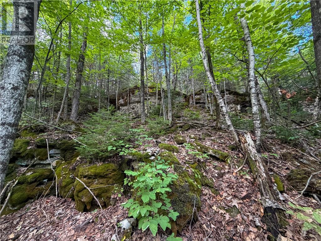 N/a Mcarthur Trail, Gore Bay, Ontario  P0P 1H0 - Photo 12 - 2130009