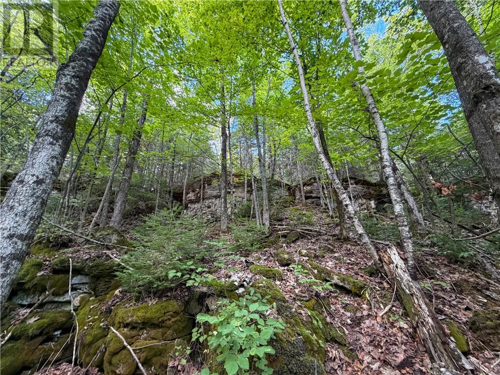 N/a Mcarthur Trail, Gore Bay, Ontario  P0P 1H0 - Photo 13 - 2130009