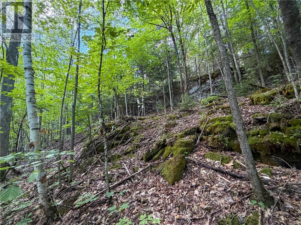 N/a Mcarthur Trail, Gore Bay, Ontario  P0P 1H0 - Photo 14 - 2130009