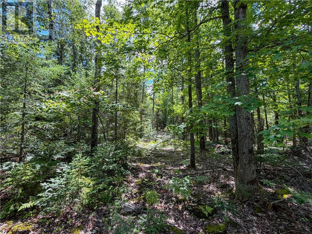 N/a Mcarthur Trail, Gore Bay, Ontario  P0P 1H0 - Photo 15 - 2130009