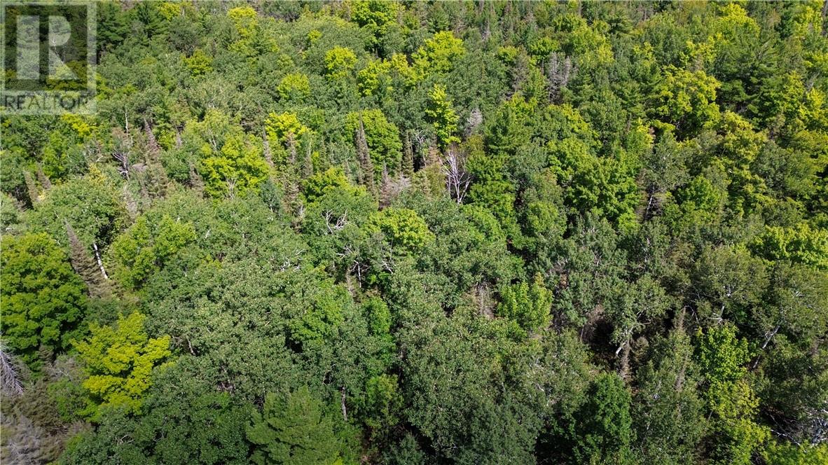 N/a Mcarthur Trail, Gore Bay, Ontario  P0P 1H0 - Photo 16 - 2130009