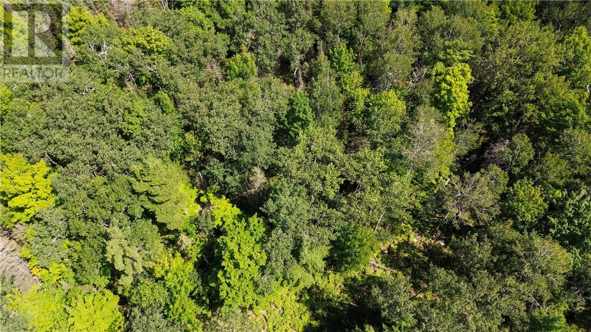 N/a Mcarthur Trail, Gore Bay, Ontario  P0P 1H0 - Photo 17 - 2130009