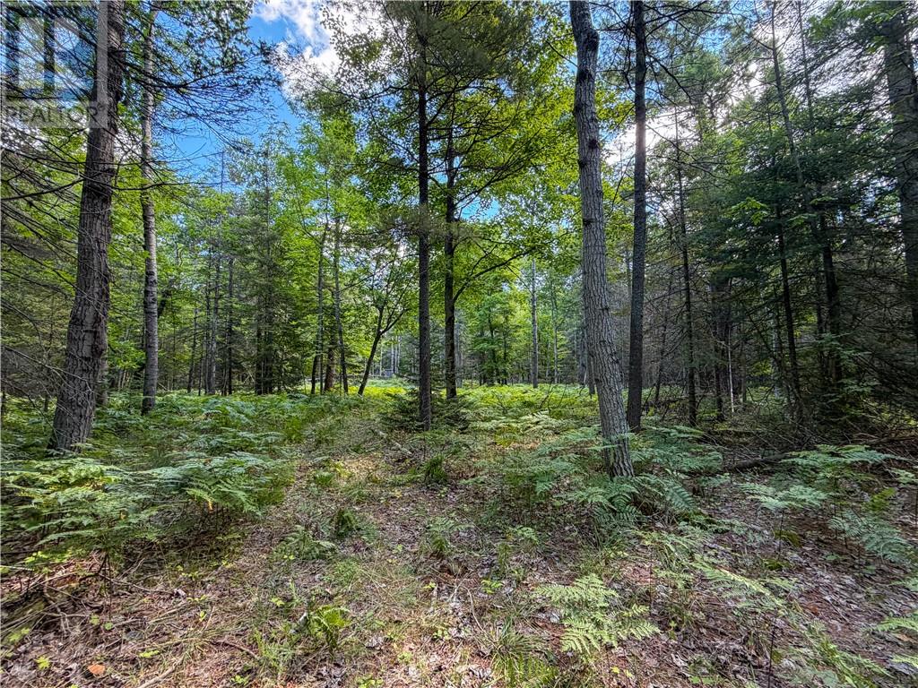 N/a Mcarthur Trail, Gore Bay, Ontario  P0P 1H0 - Photo 2 - 2130009