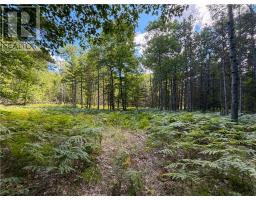 N/A McArthur Trail, Gore Bay, Ontario