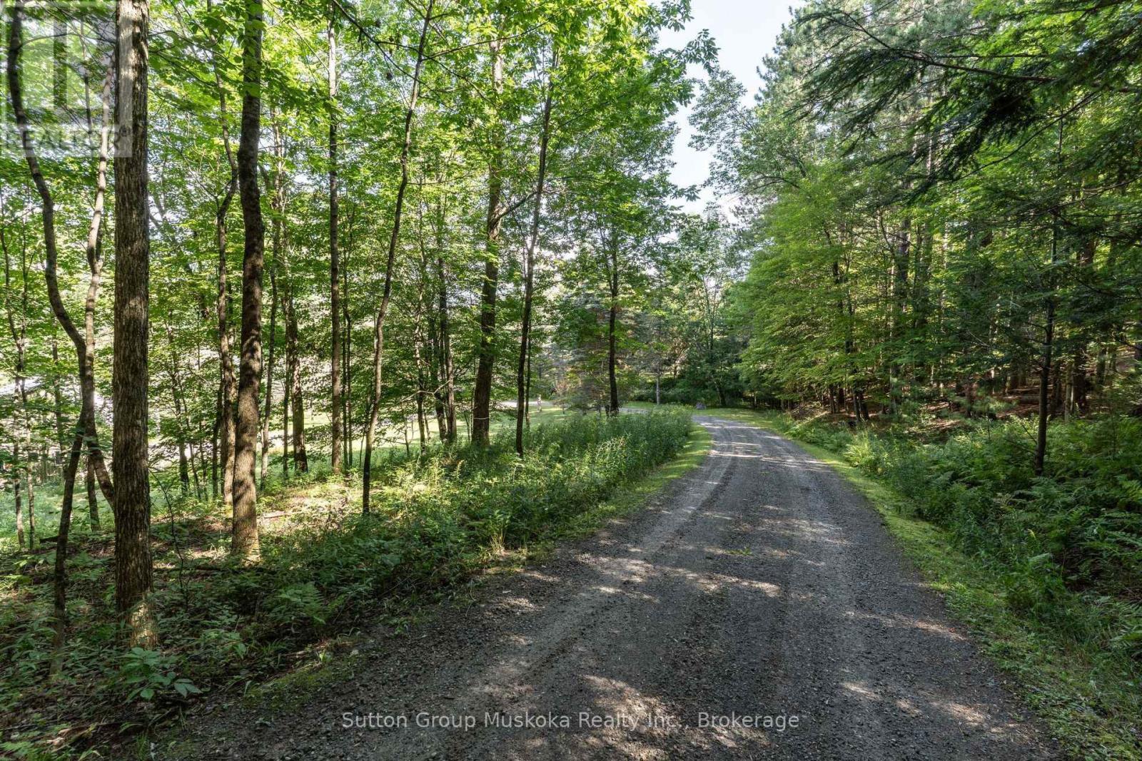 577 Canal Road, Huntsville, Ontario  P1H 2J6 - Photo 5 - X13712824