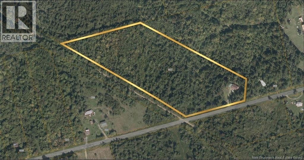 948 Dugan Road, Limestone, New Brunswick  E7N 2S7 - Photo 24 - NB146394