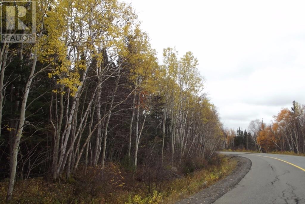 34-60 Rattling Brook Road, Norris Arm, Newfoundland & Labrador  A0G 3M0 - Photo 8 - 1289686