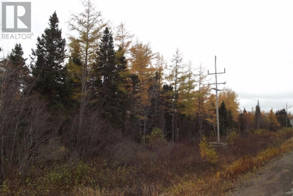 34-60 Rattling Brook Road, Norris Arm, Newfoundland & Labrador  A0G 3M0 - Photo 9 - 1289686