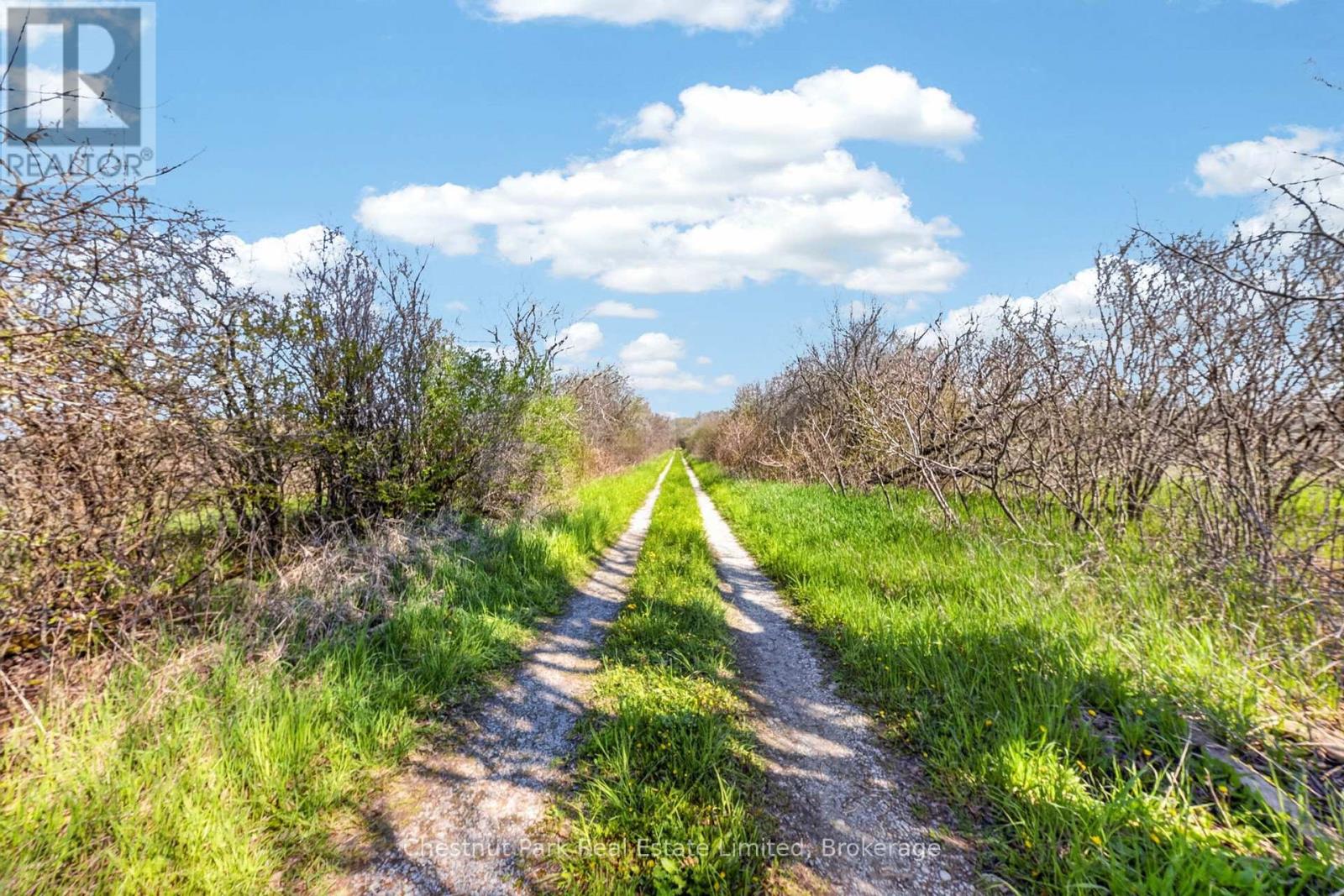 1092 Huycks Point Road, Prince Edward County, Ontario  K0A 3L0 - Photo 10 - X13713022