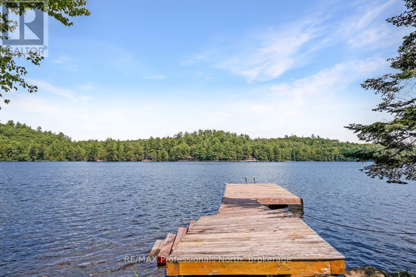 3382 Kushog Lake Road, Algonquin Highlands (Stanhope), Ontario K0M 1S0 - Photo 32 - X13713018