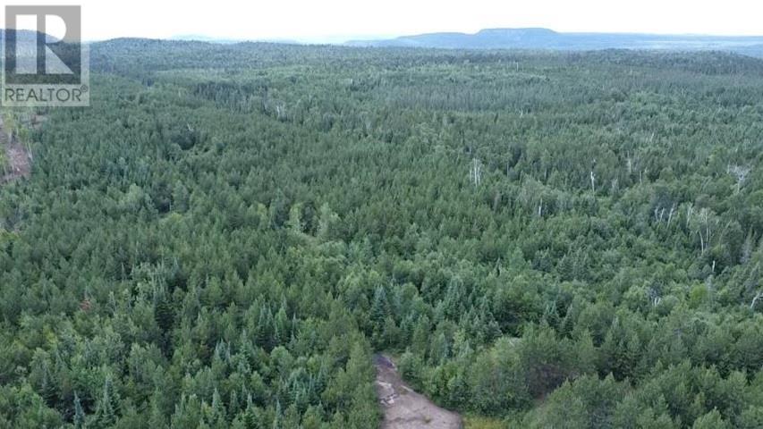 Pcl 6095 Stirling, Hurkett, Ontario  P0T 1K0 - Photo 5 - TB2602518