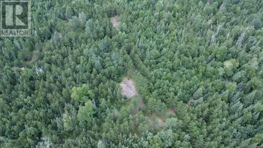 Pcl 6095 Stirling, Hurkett, Ontario  P0T 1K0 - Photo 2 - TB2602518