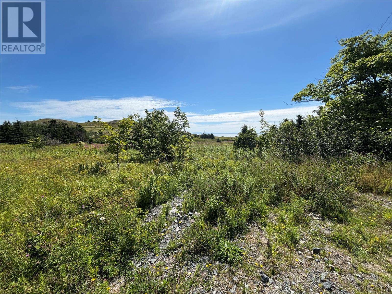 5 Flights Road, Small Point-Adam's Cove, Newfoundland & Labrador  A0A 1L0 - Photo 2 - 1302357