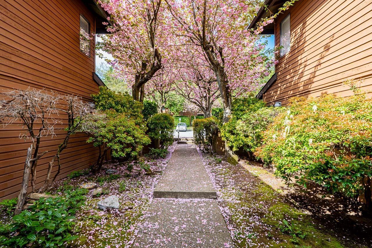 412 10620 150 Street, Surrey, British Columbia  V3R 7R9 - Photo 30 - R3116595