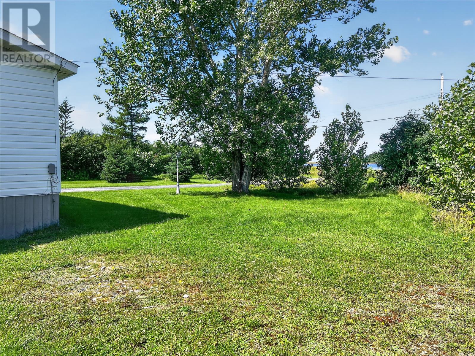 335 Main Street, Carmanville South, Newfoundland & Labrador  A0G 1N0 - Photo 22 - 1302273