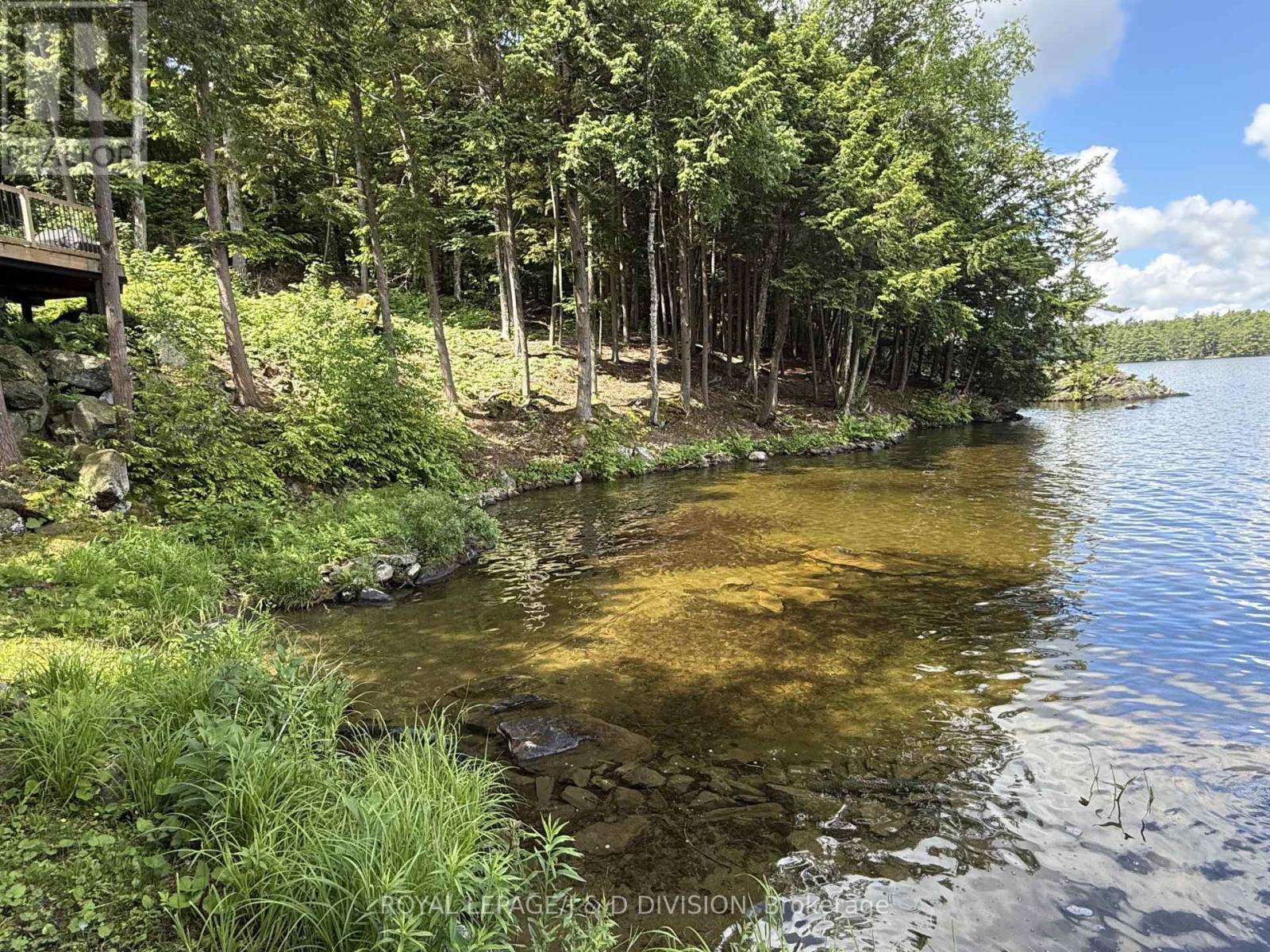 200 Blackstone Lake Water, The Archipelago, Ontario  P0G 1G0 - Photo 47 - X13492202