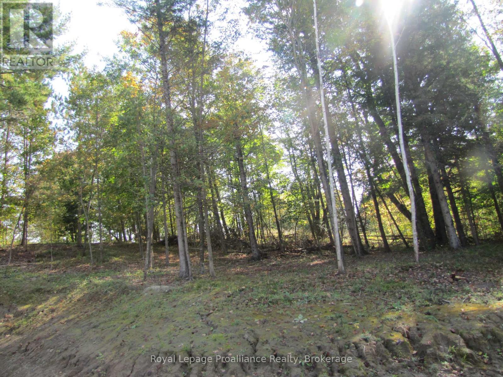 1054 Centre Line Road, Marmora And Lake, Ontario  K0K 2M0 - Photo 7 - X13702296