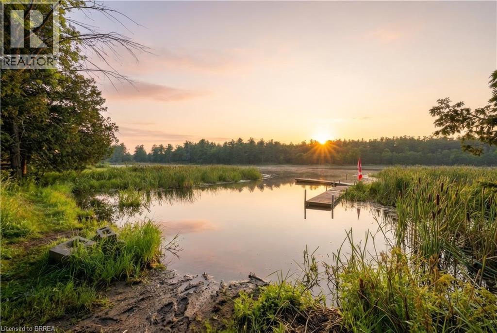 135 Camp Lane, Tweed, Ontario  K0K 3J0 - Photo 42 - 40836322