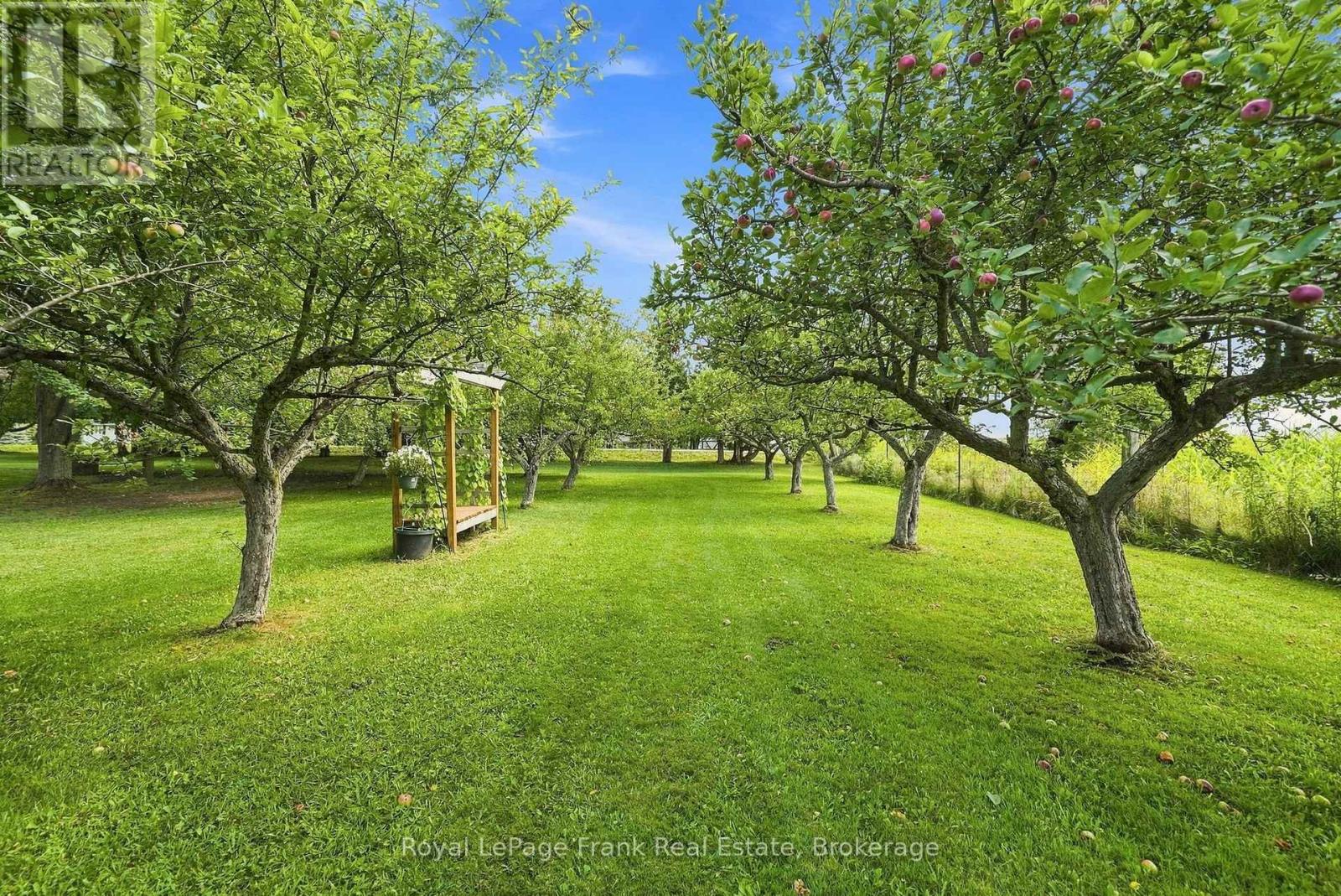 1235 Heights Road, Kawartha Lakes, Ontario  K9V 4R3 - Photo 7 - X13713568
