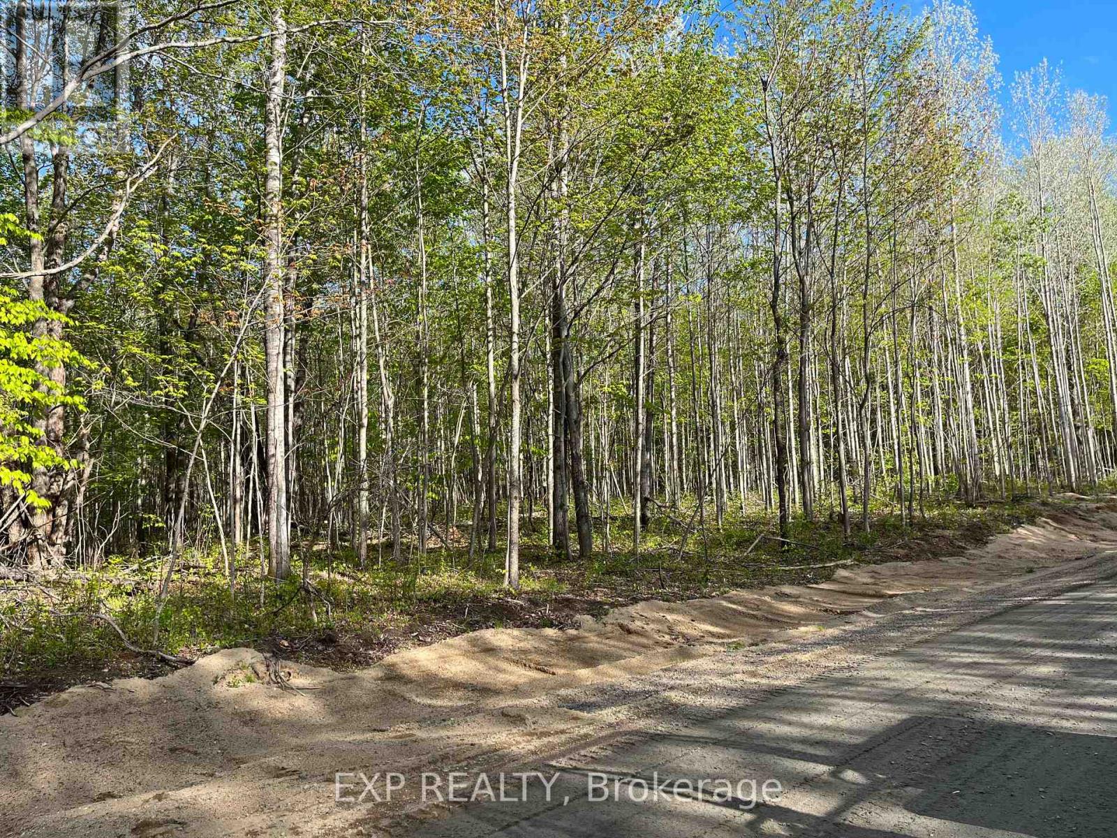 Lot 9 Casson Trail, Madawaska Valley, Ontario  K0J 1B0 - Photo 7 - X12522740