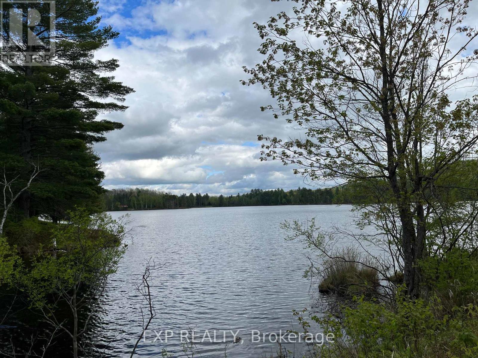 Lot 9 Casson Trail, Madawaska Valley, Ontario  K0J 1B0 - Photo 3 - X12522740
