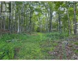 1026 PUFFER ROAD, Minden Hills, Ontario