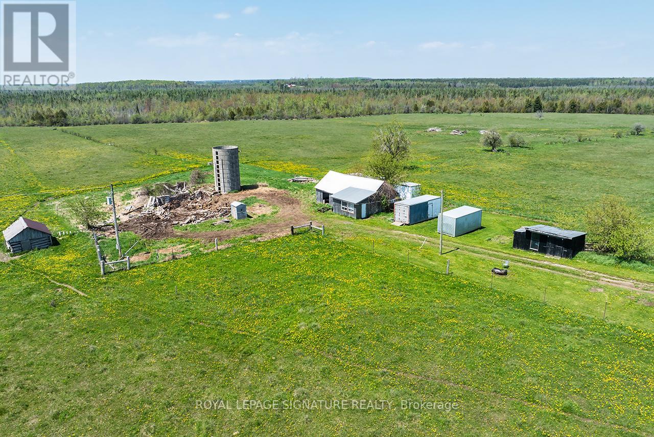 1007 Moor Road, Kawartha Lakes, Ontario  K0M 2T0 - Photo 7 - X13713704