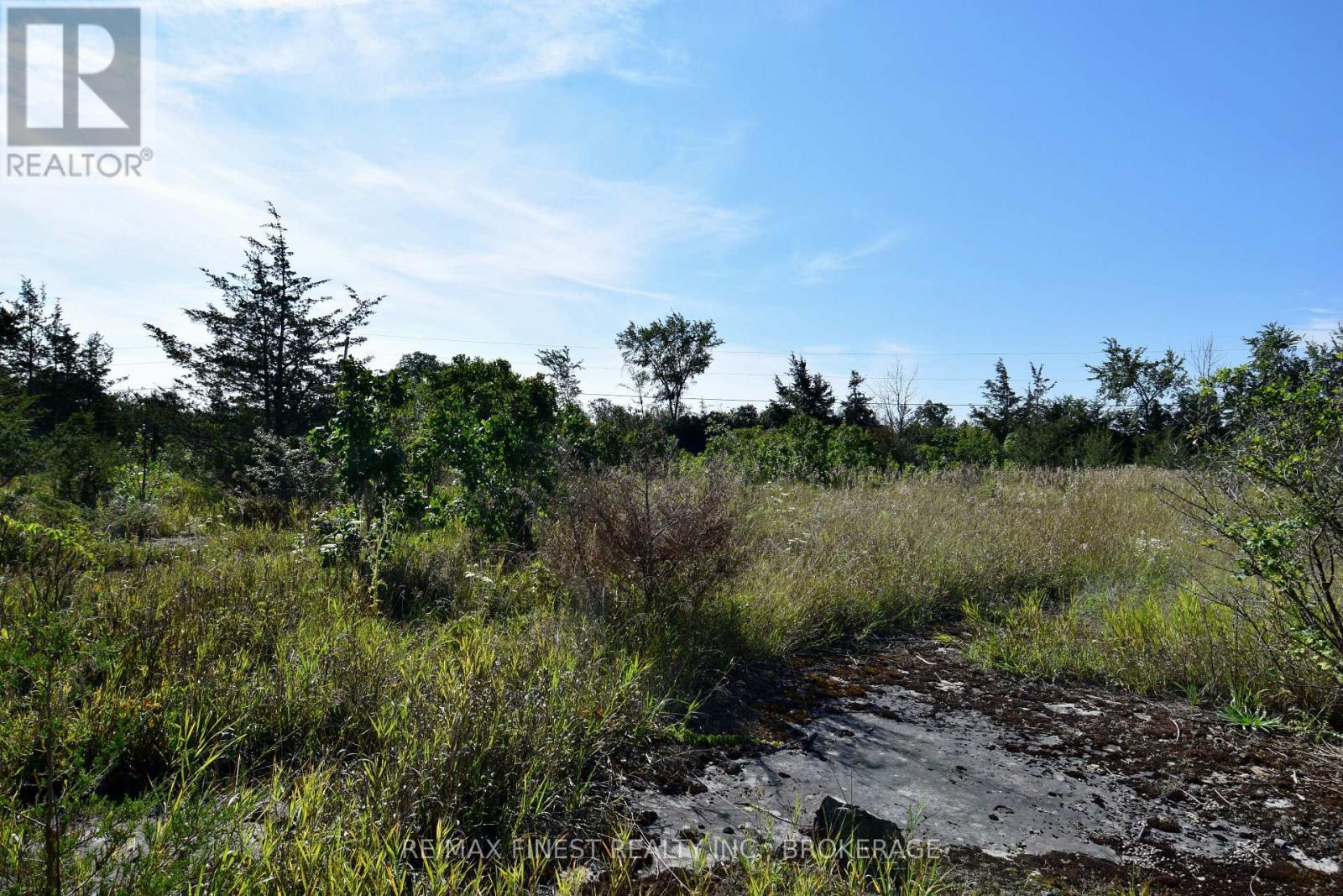 Lot 16 Westplain Road, Greater Napanee, Ontario  K0K 2W0 - Photo 7 - X13713972