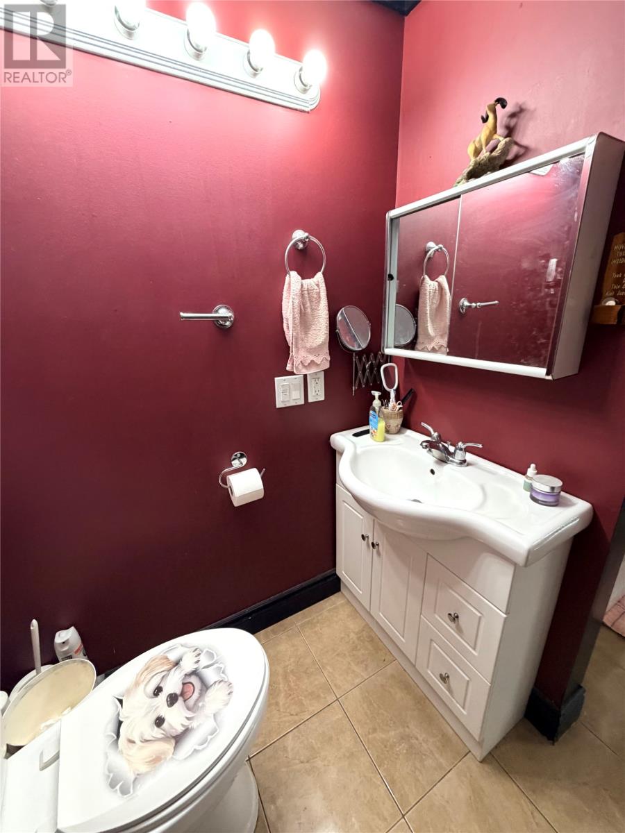 2048 Red Cliff Road, Grand Falls - Windsor, Newfoundland & Labrador  A2B 1K4 - Photo 11 - 1302365