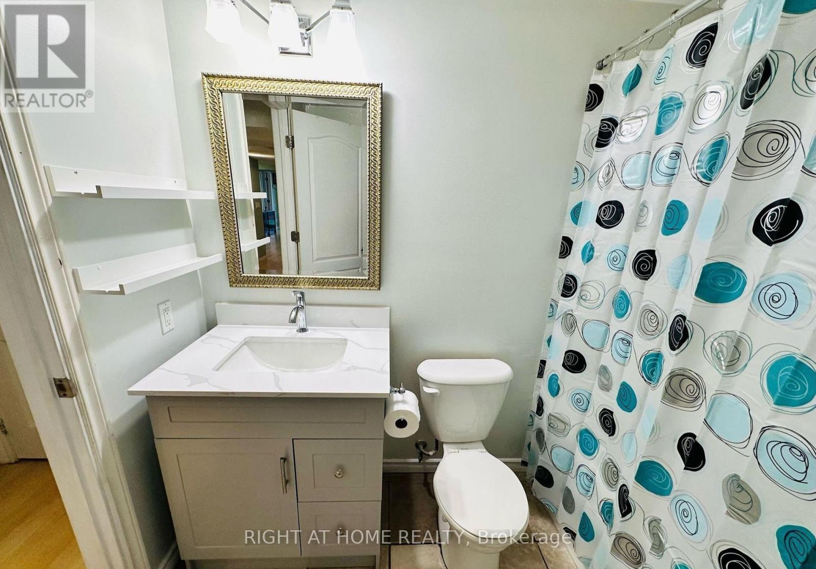 Lower - 163 Williamson Drive E, Ajax, Ontario  L1Z 0G7 - Photo 13 - E13713876