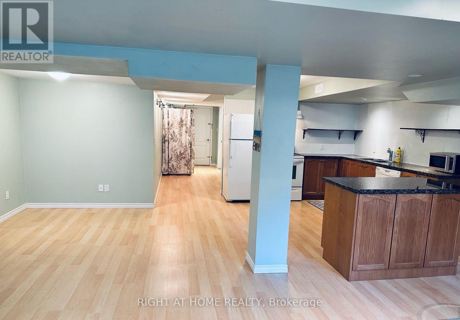 Lower - 163 Williamson Drive E, Ajax, Ontario  L1Z 0G7 - Photo 4 - E13713876
