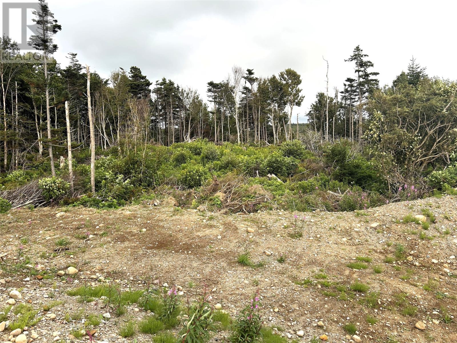 Lot A Main Road, Port Au Port East, Newfoundland & Labrador  A0N 1T0 - Photo 10 - 1301773