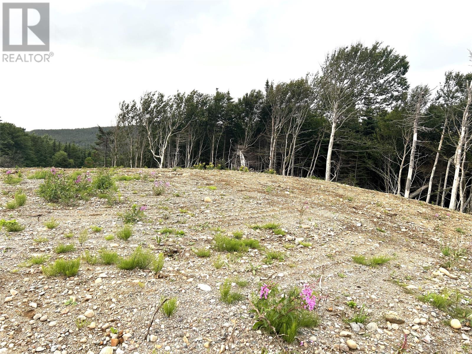 Lot A Main Road, Port Au Port East, Newfoundland & Labrador  A0N 1T0 - Photo 12 - 1301773