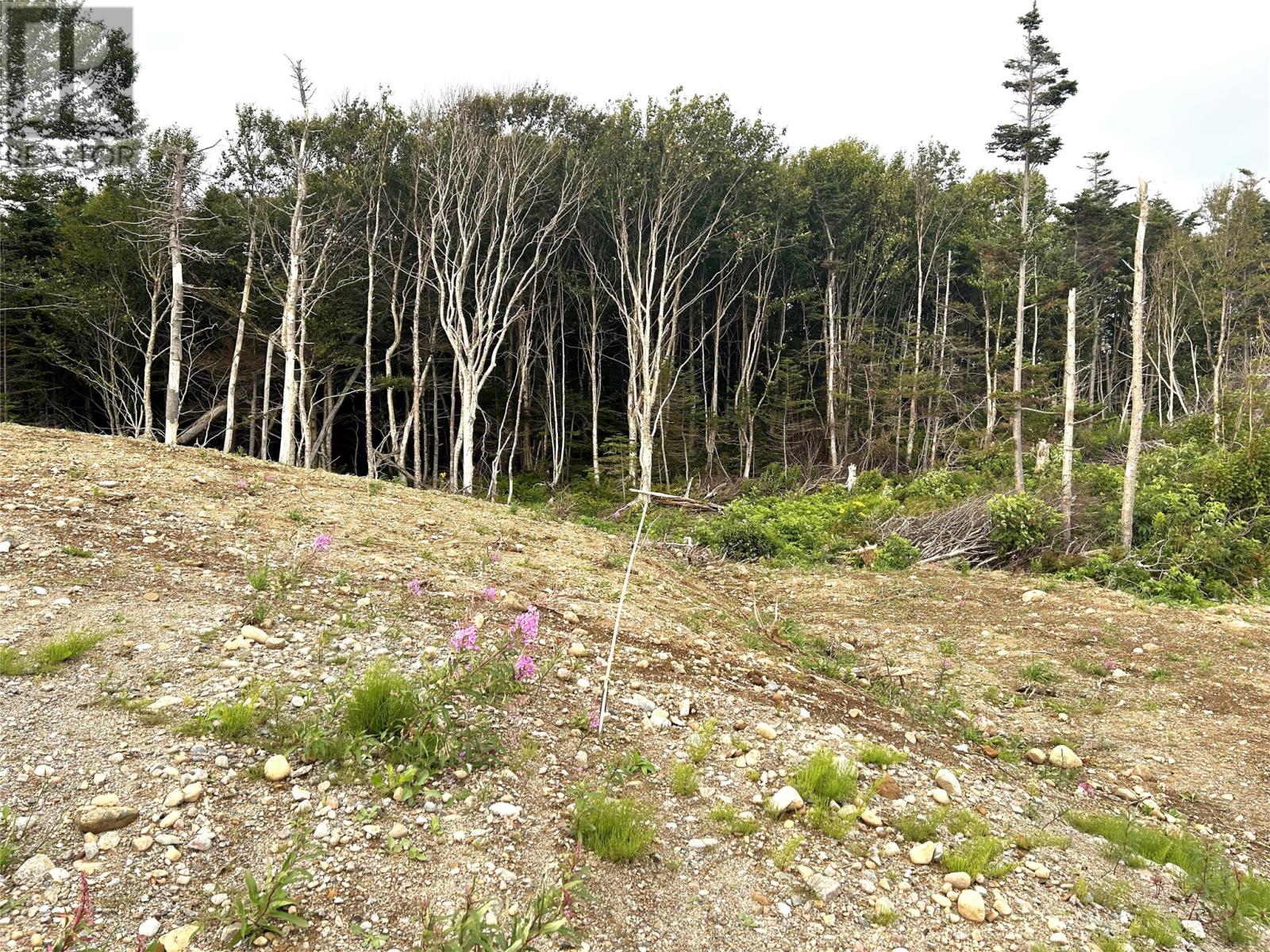 Lot A Main Road, Port Au Port East, Newfoundland & Labrador  A0N 1T0 - Photo 2 - 1301773