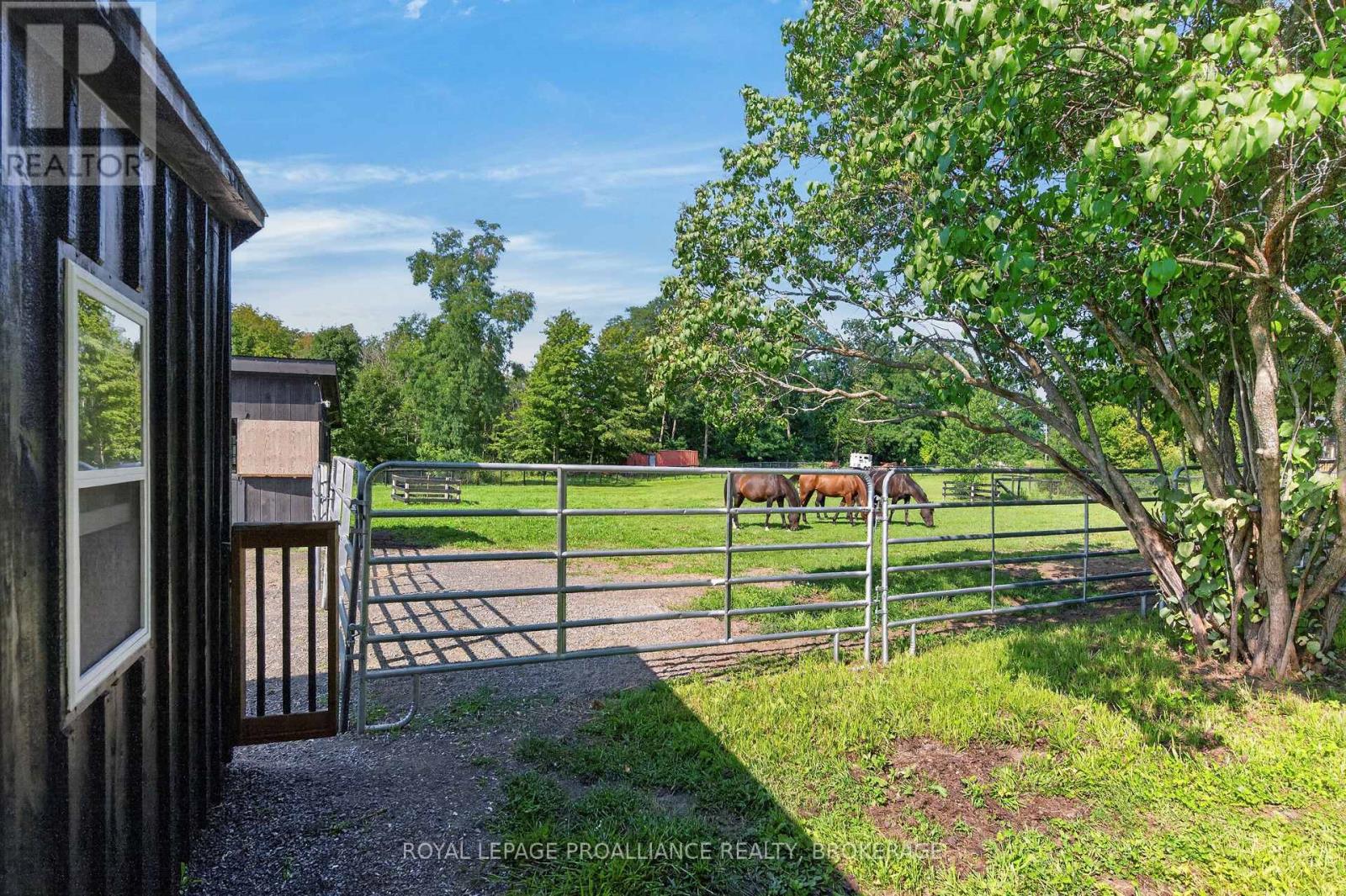 1103 County Road 2, Augusta, Ontario  K6V 5T1 - Photo 36 - X13714080