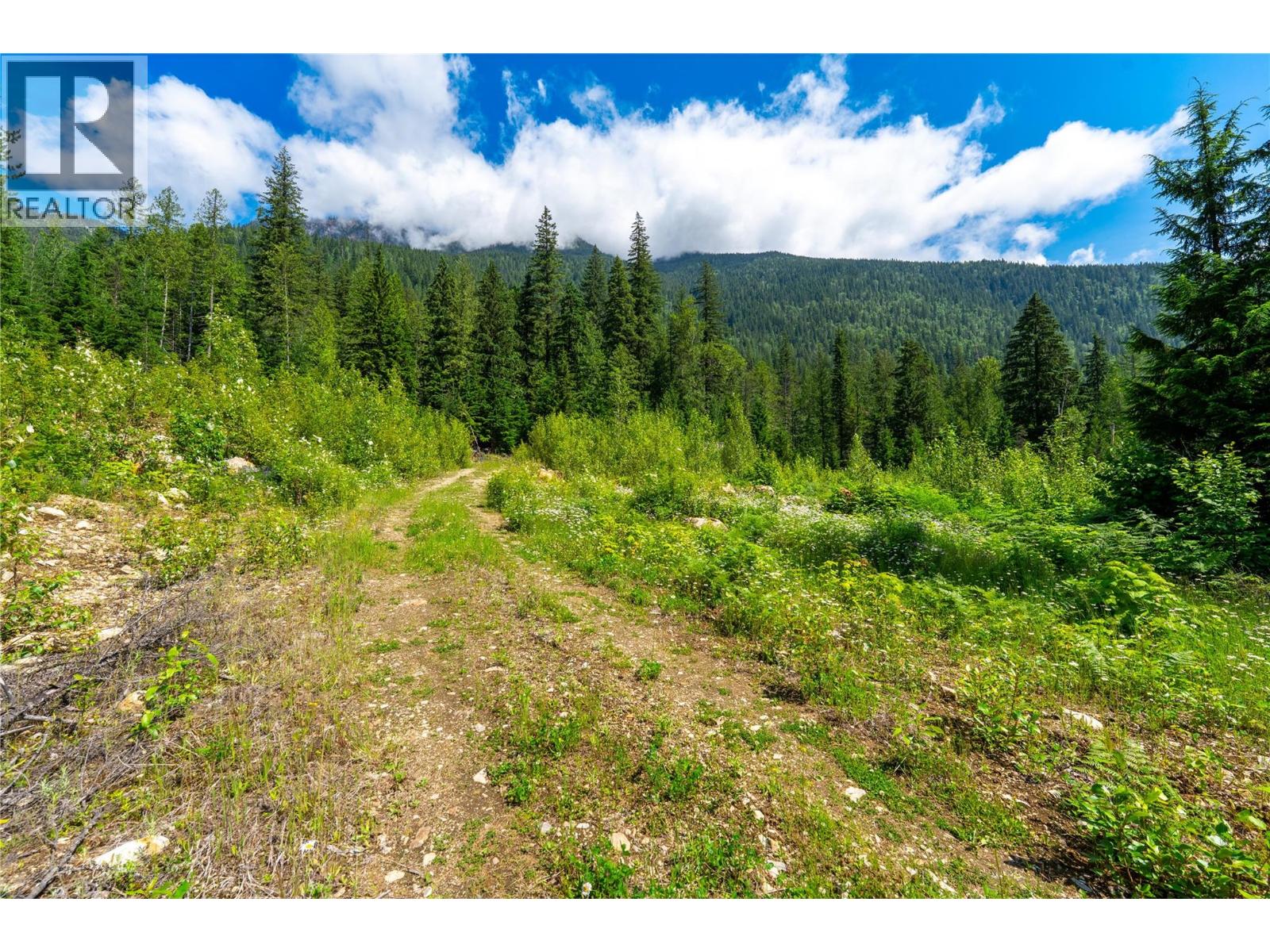 7455 19 Mile Road, Revelstoke, British Columbia  V0E 2S0 - Photo 16 - 10394776
