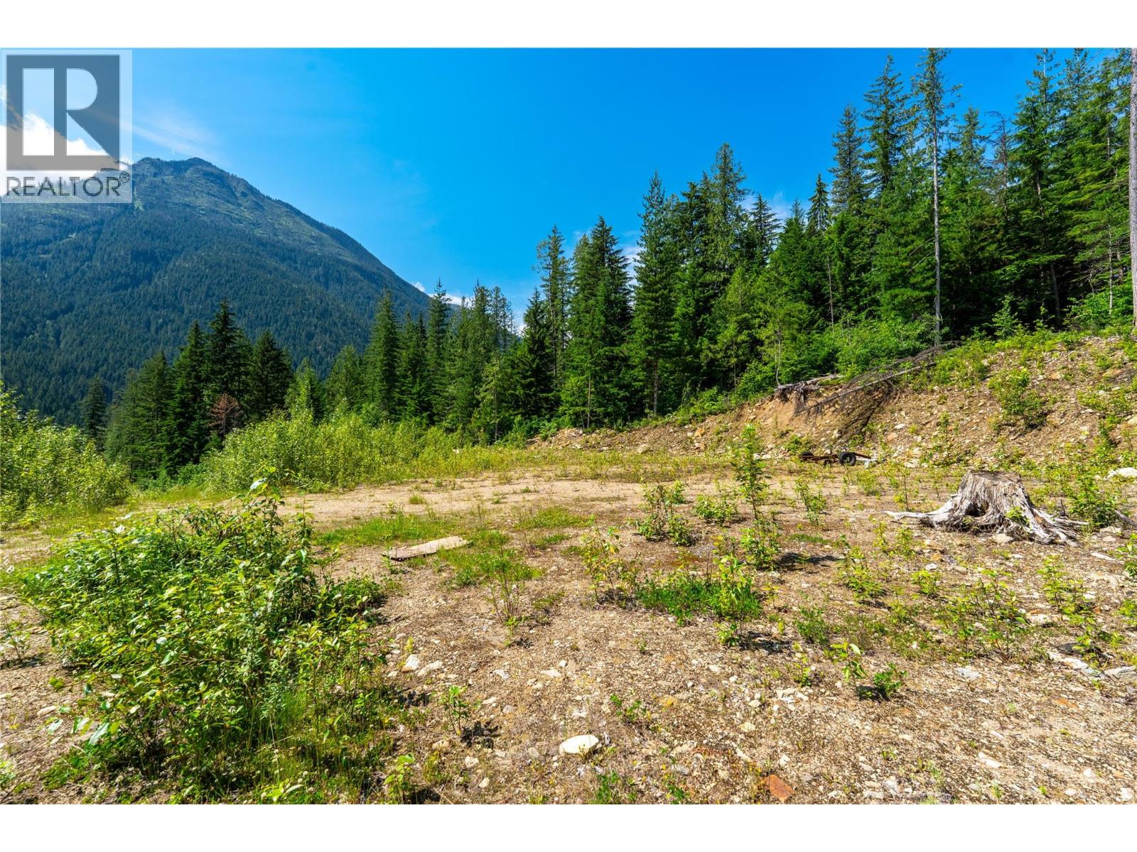 7455 19 Mile Road, Revelstoke, British Columbia  V0E 2S0 - Photo 19 - 10394776